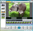 Screenshot 03
