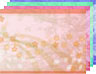 Fr�hling6 (4Farben)