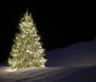 Weihnachtsbaum