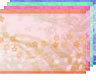 Fr�hling6 (4Farben)