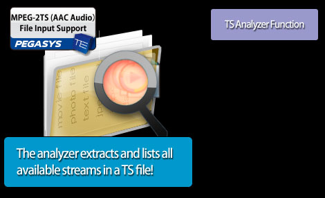 New Transport Stream analyzer lists all video, audio and subtitle streams, allowing you to choose which to import!