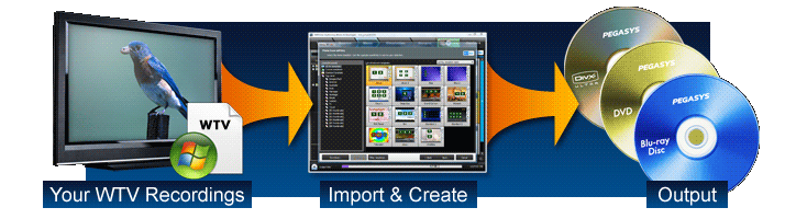 WTV file input support.