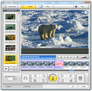 Image: the cut-editor window.