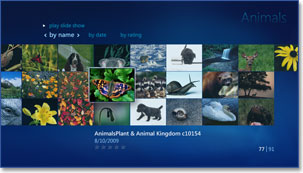 Image: Media viewer