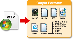 Image: Convert your .wtv files to various video formats.