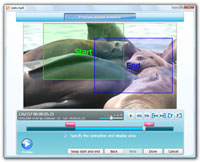Animate and add effects to your video (image).