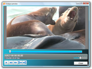 Video output preview (image).