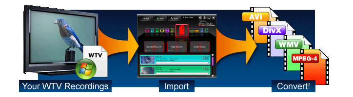 WTV file input support.