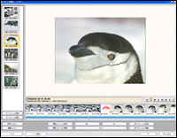 TMPGEnc MPEG Editor�i�����i�j�̃J�b�g�ҏW���