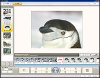 TMPGEnc MPEG Editor 2.0�̃J�b�g�ҏW���