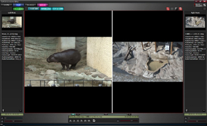 セパレートモード−サイズ