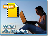PEGASYS WebM Reader SDK image