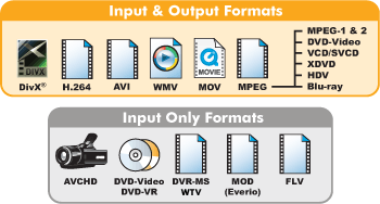 Image: input and output formats.