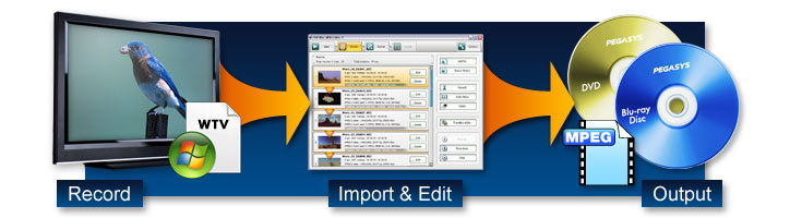 WTV file input support.