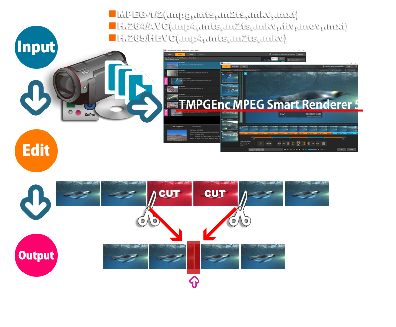 Tmpgenc Mpeg Smart Renderer 5 The De Facto Standard In Video Cutting Tools