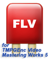 TMPGEnc Movie Plug-in FLV4 for TVMW5
